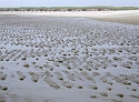 2007_1028_Texel_Okt0043