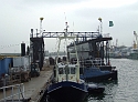 2007_1028_Texel_Okt0051