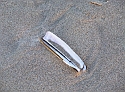 2007_1117Texel0013