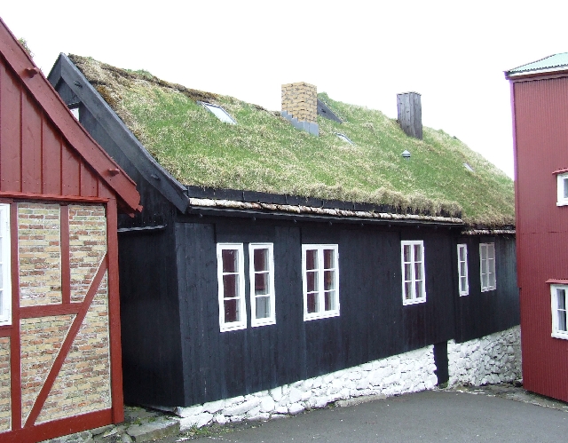 2008_0408_Org_Faroer0197.JPG - Black and Green