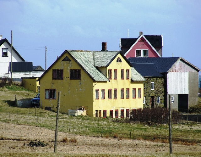 2008_0410_Org_Faroer0024.JPG - Again The Full Palette of Colors : Yellow