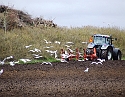 2008_0405_Faroer0009