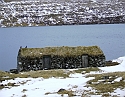 2008_0408_Org_Faroer0179