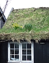 2008_0408_Org_Faroer0200