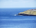 2008_0409_Org_Faroer0228