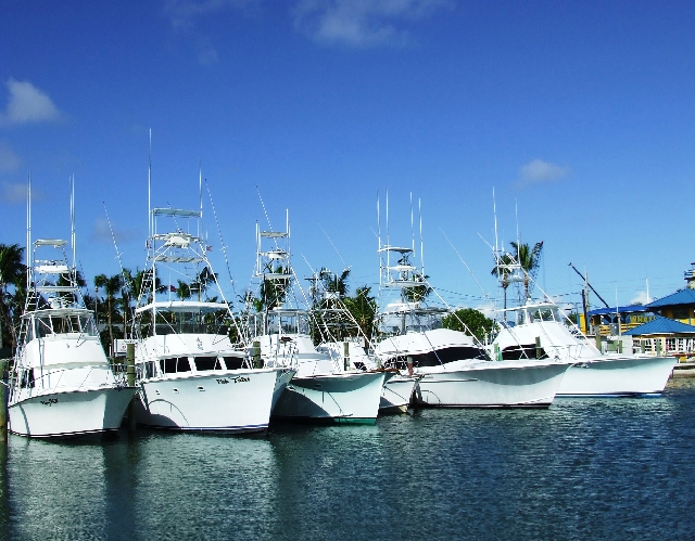 2008_09200012.JPG - The Deepsea Fishing Fleet