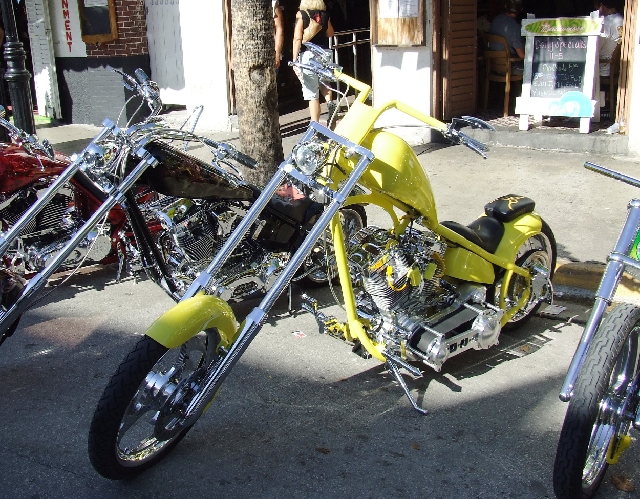 2008_09200058.JPG - More Yellow