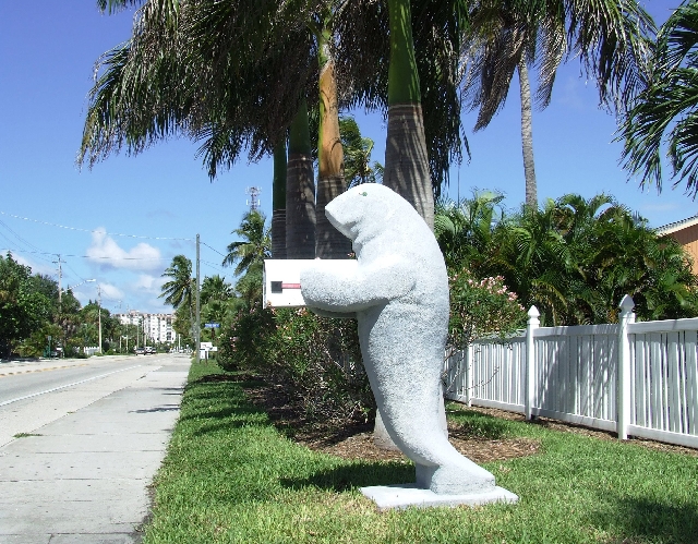 2008_09240077.JPG - Manatee US-Mailbox