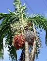 2008_09200015