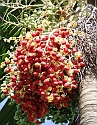 2008_09200017