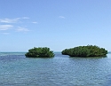 2008_09200035