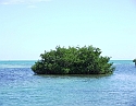 2008_09200036