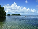 2008_09210006