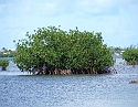 2008_09210007