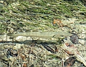 2008_09210008