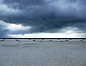 2008_09220031