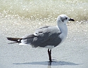 2008_09230005