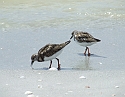 2008_09230009