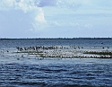 2008_09230031