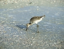 2008_09240106