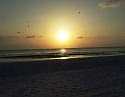 2008_09240108