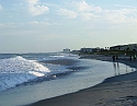 2008_09260226
