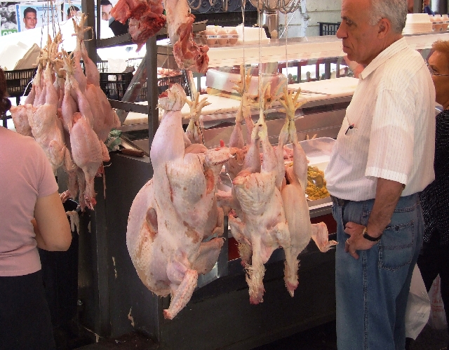 2008_06200200.JPG - Chicken and Turkey