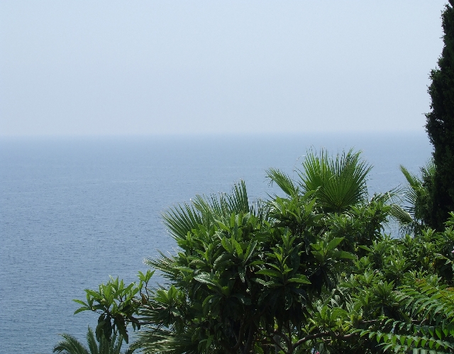 2008_06260503.JPG - Land, Sea, Green and Blue