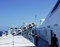 2008_06170022