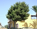 2008_06170057