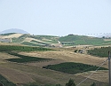 2008_06170089
