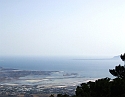 2008_06170106