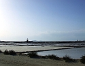 2008_06170119