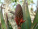 2008_06170126