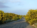 2008_06200175