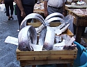 2008_06200196
