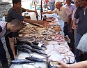 2008_06200198