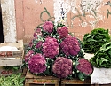 2008_06200207