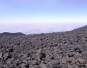 2008_06210275