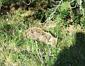 2008_06210316