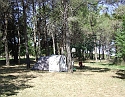 2008_06230372