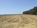 2008_06230387