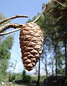 2008_06230389