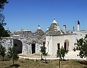 2008_06230394