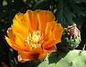 2008_06250492