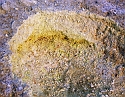 2008_06250512