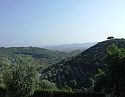 2008_06280456
