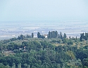 2008_06280478