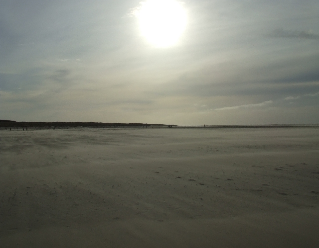 2008_1026_thuis0029.JPG - Last Daylight