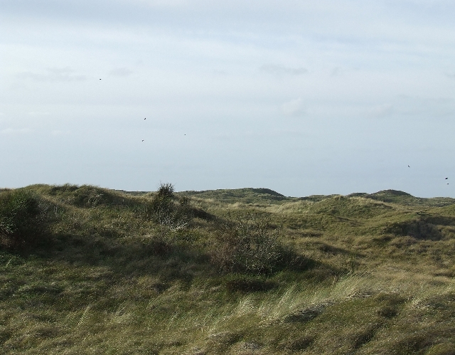 2008_1026_thuis0036.JPG - Dunes